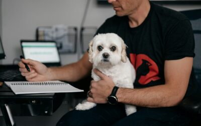 How to Reduce Distractions and Help Employees Focus in the Workplace