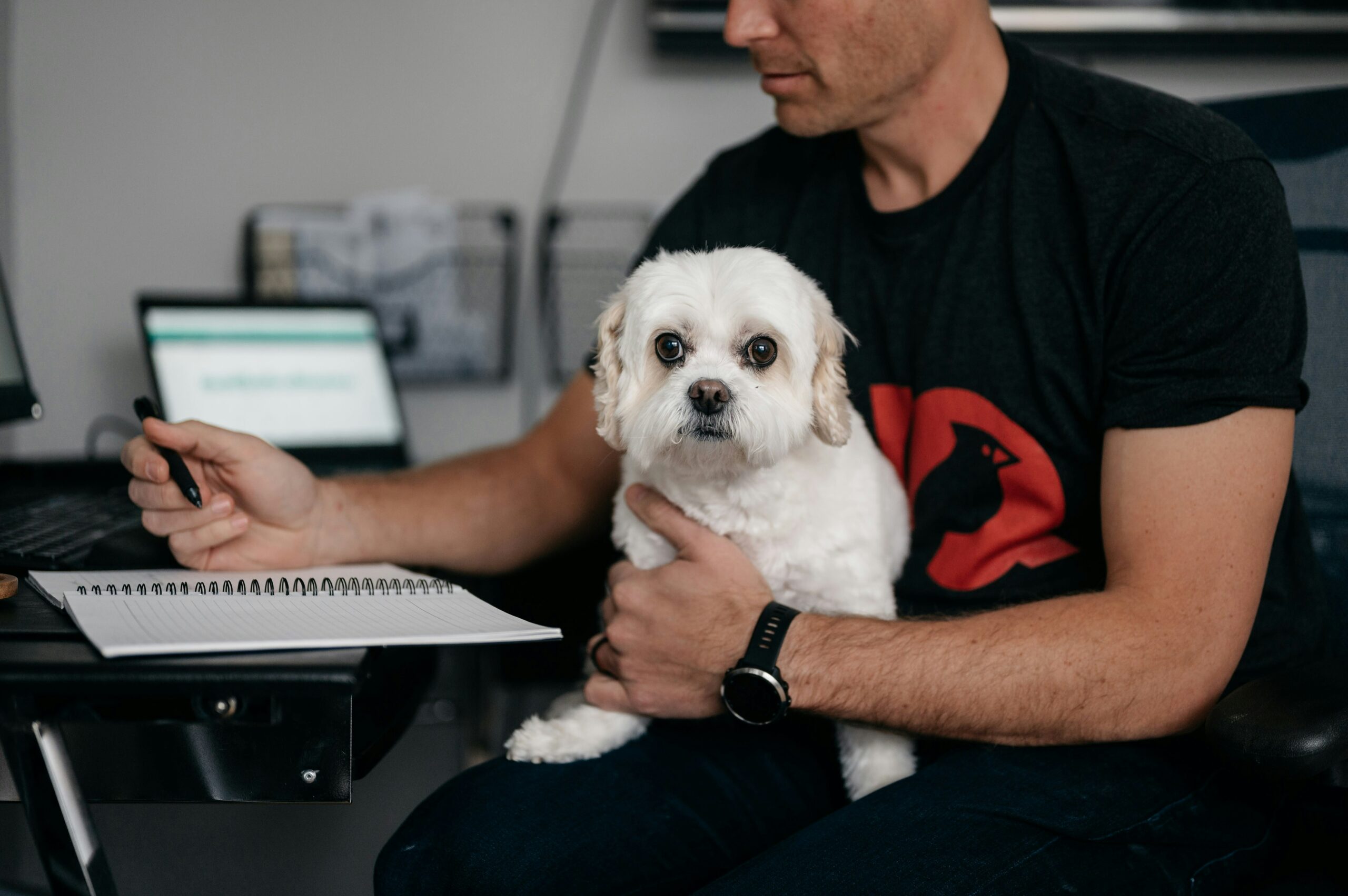Person working with a dog sitting in their lap